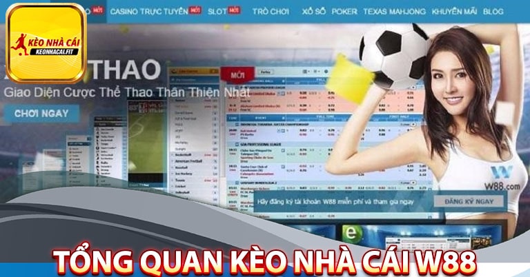 Sơ lược tổng quan về kèo nhà cái w88